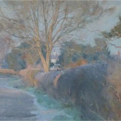 Bright-frosty-morning-on-The-Quarry-Road-Misson