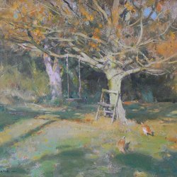 Maple-in-Autumn-Oil-10-x-12