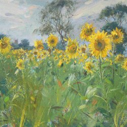 Sunflowers-Misson-Oil-10-x-12