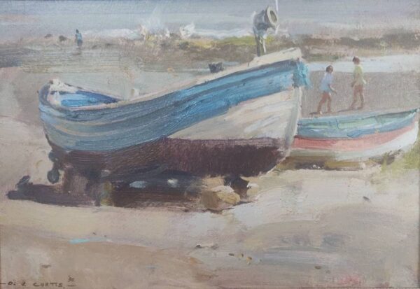 Blue boat on Port Mulgrave foreshore
