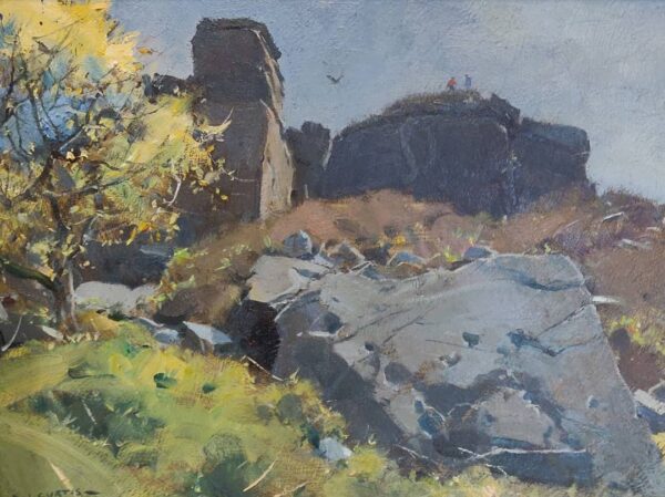 Quarried gritstone, Burbage South (SOLD)