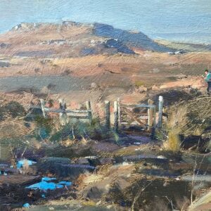 Open Moorland, The Peak District