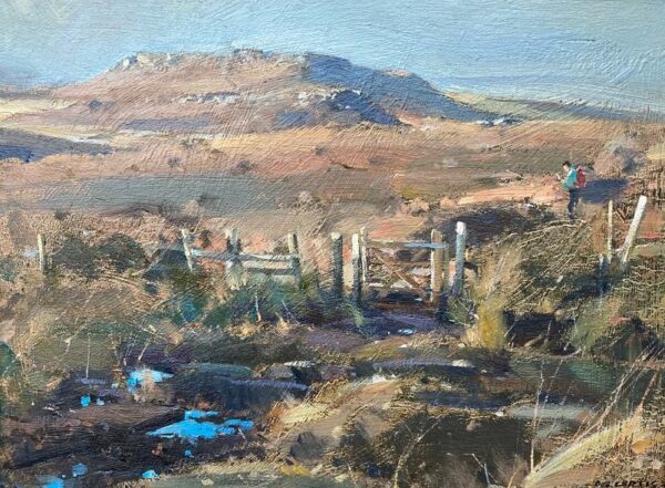 Open Moorland, The Peak District