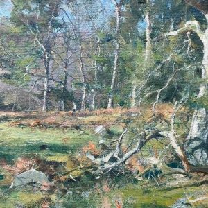Landscape in the Longshaw Estate