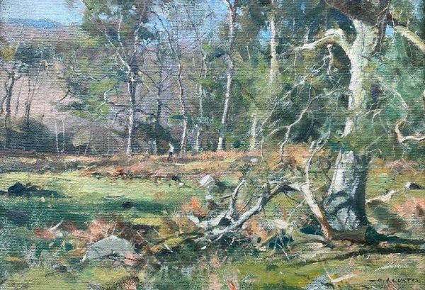 Landscape in the Longshaw Estate
