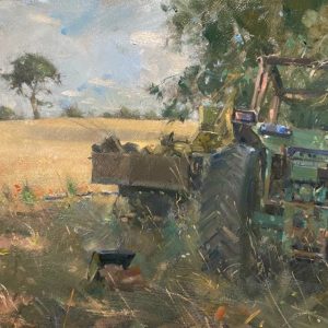 Field of barley, Broad Oak Farm (SOLD)