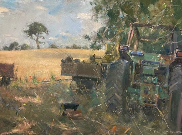 Field of barley, Broad Oak Farm (SOLD)