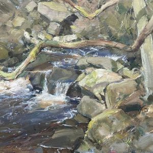 The stream through Padley Gorge (SOLD)