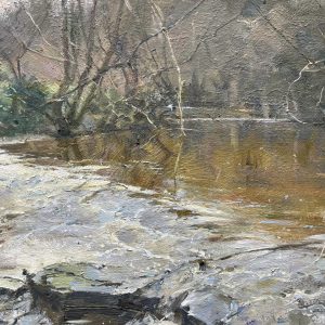 Roxby Beck in Midwinter